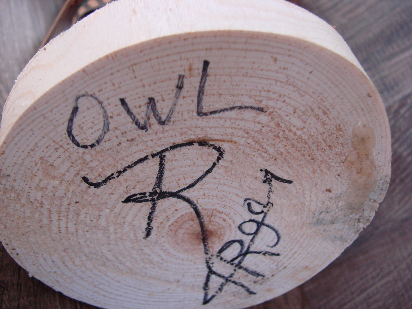 Native American Owl Kachina Dancer Signed Tsosie