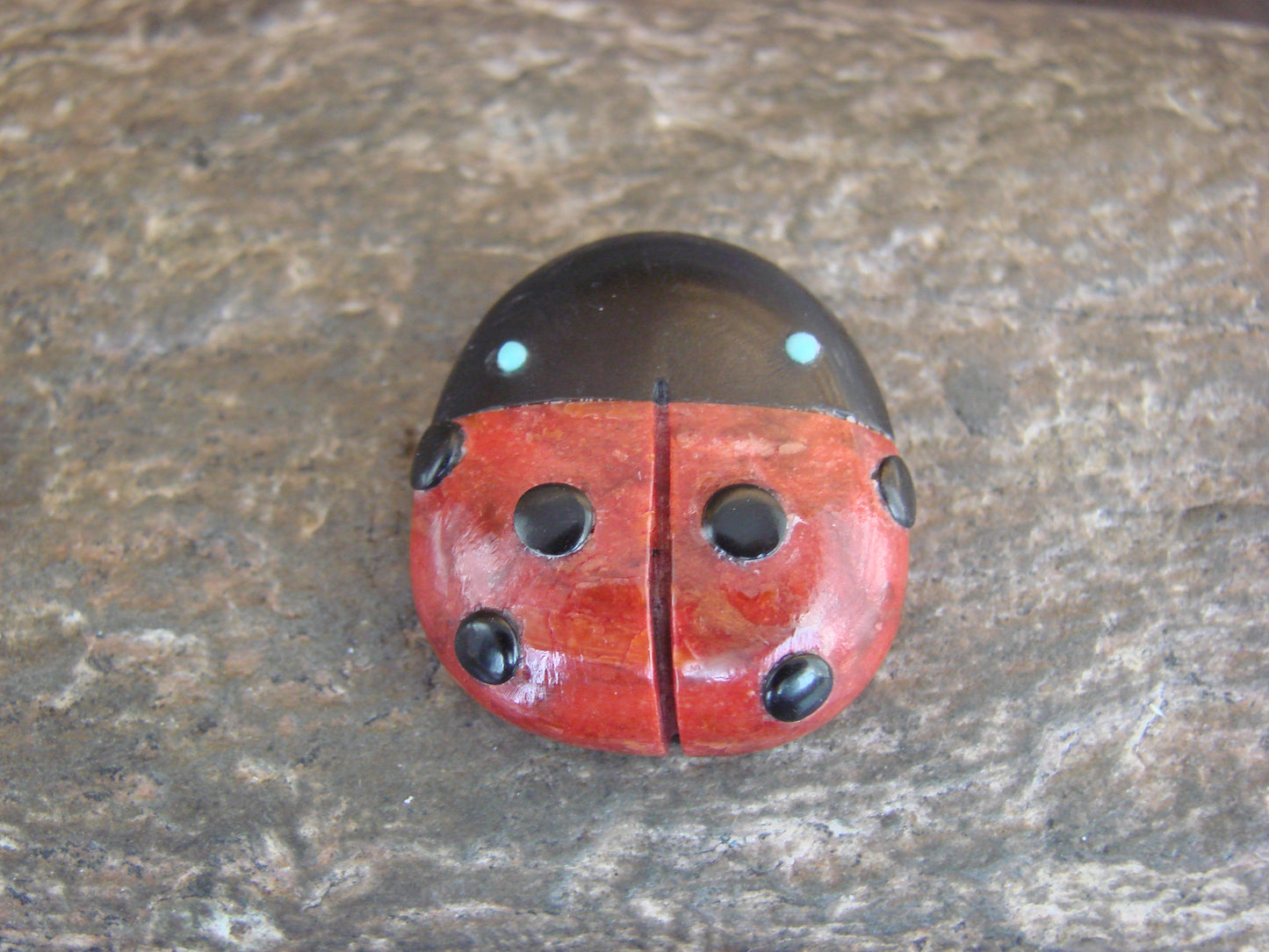 Native American Zuni Hand Carved Coral Ladybug Fetish by Lonasee