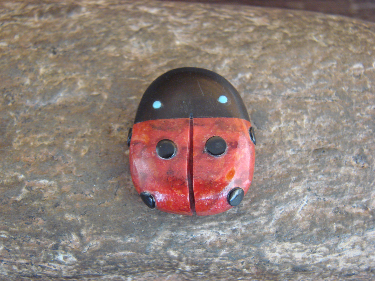 Native American Zuni Hand Carved Coral Ladybug Fetish by Lonasee