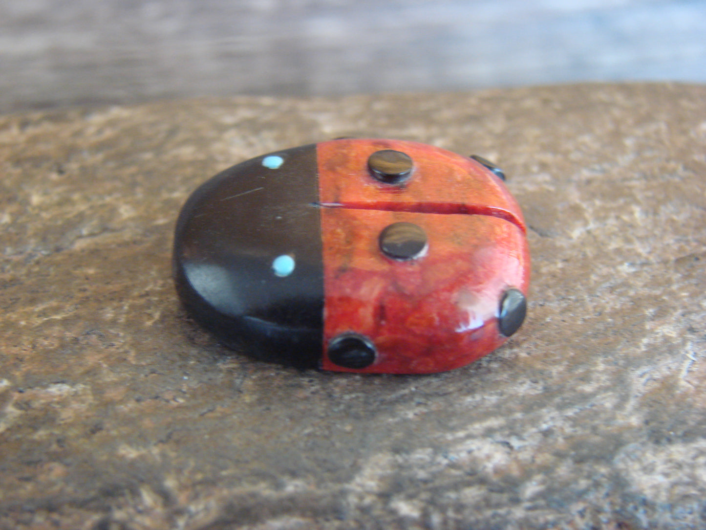 Native American Zuni Hand Carved Coral Ladybug Fetish by Lonasee