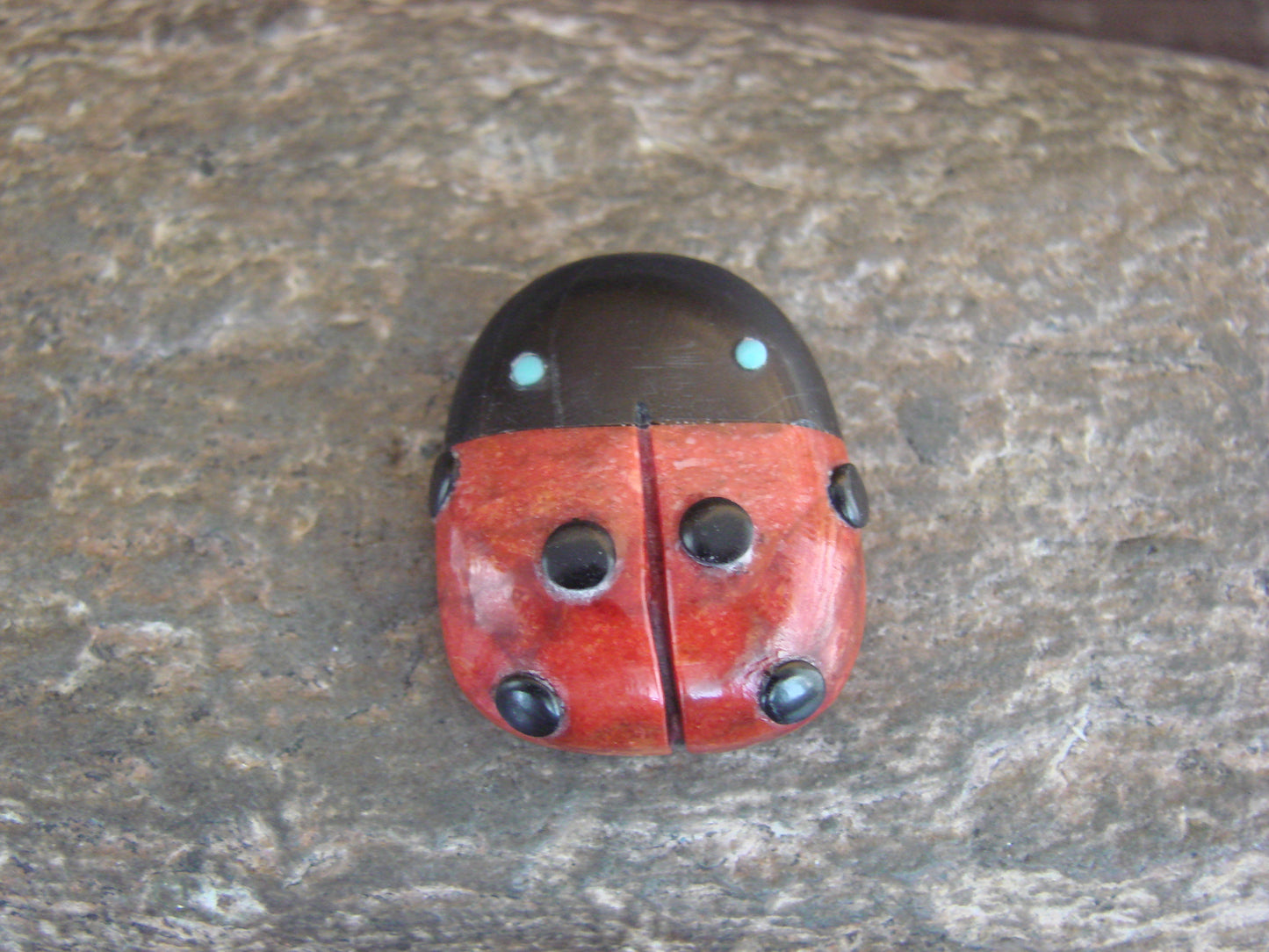 Native American Zuni Hand Carved Coral Ladybug Fetish by Lonasee