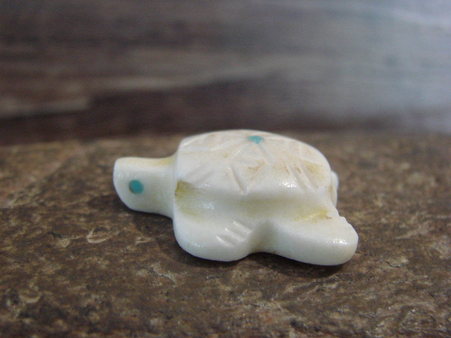 Native American Indian Hand Carved Alabaster Turtle Fetish - B. Phillips