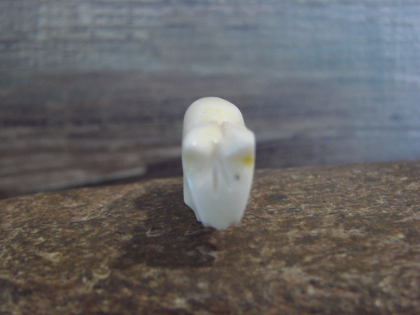 Native American Indian Hand Carved Alabaster Horse Fetish - B. Phillips