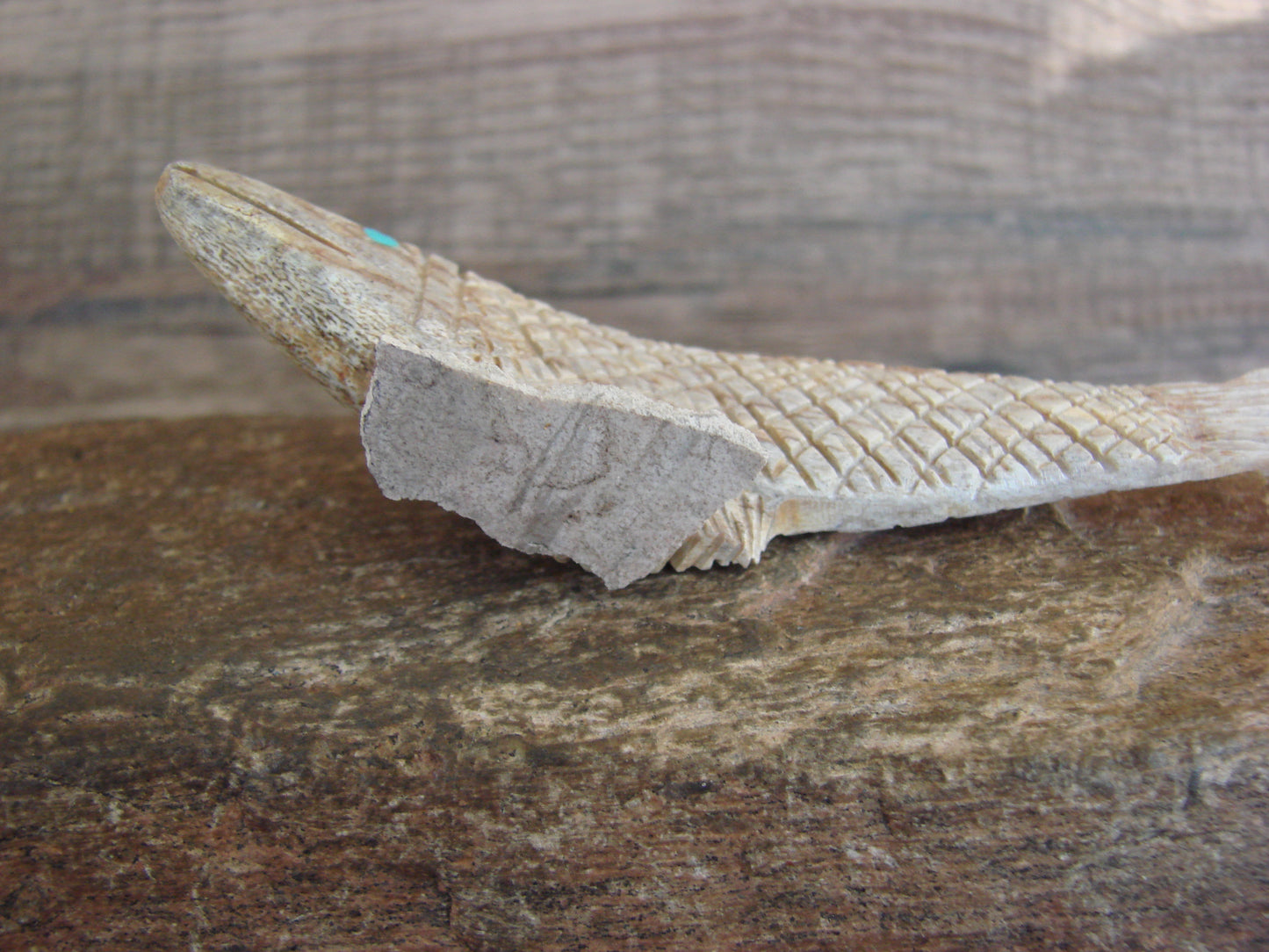 Native American Zuni Indian Hand Carved Antler Fish Fetish- Etsate