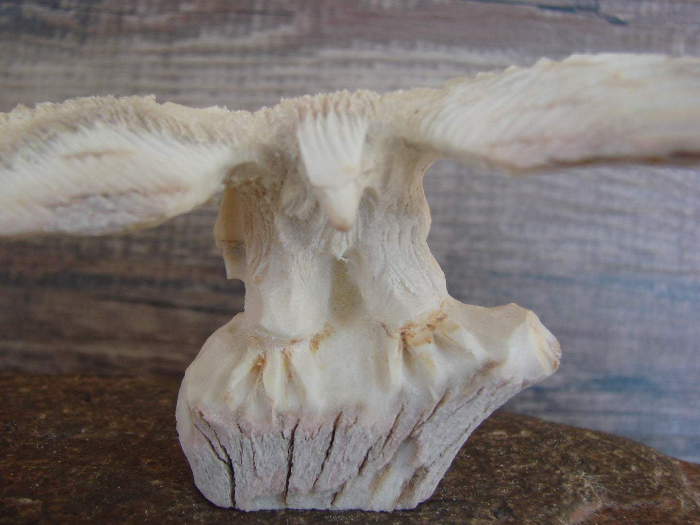 Native American Zuni Indian Hand Carved Antler Eagle Fetish - Malie