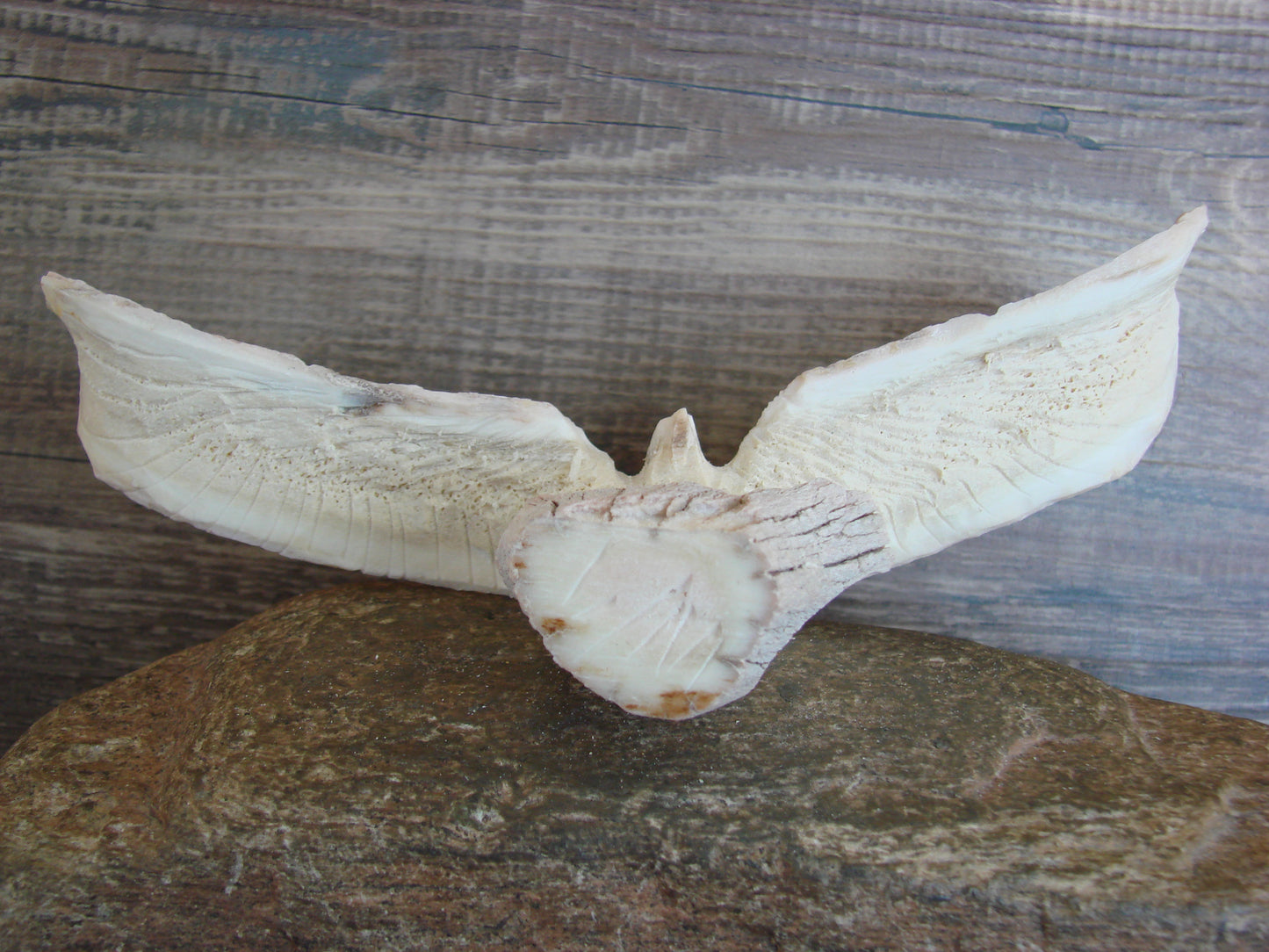 Native American Zuni Indian Hand Carved Antler Eagle Fetish - Malie