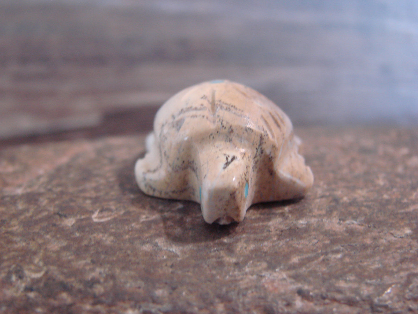 Native American Indian Hand Carved Picasso Marble Turtle Fetish - B. Phillips
