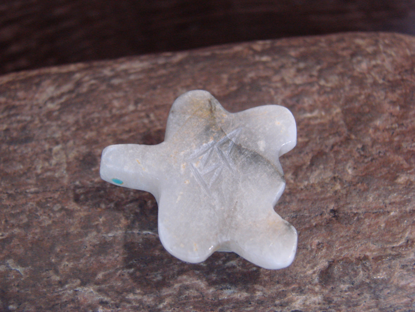 Native American Indian Hand Carved Alabaster Turtle Fetish - B. Phillips