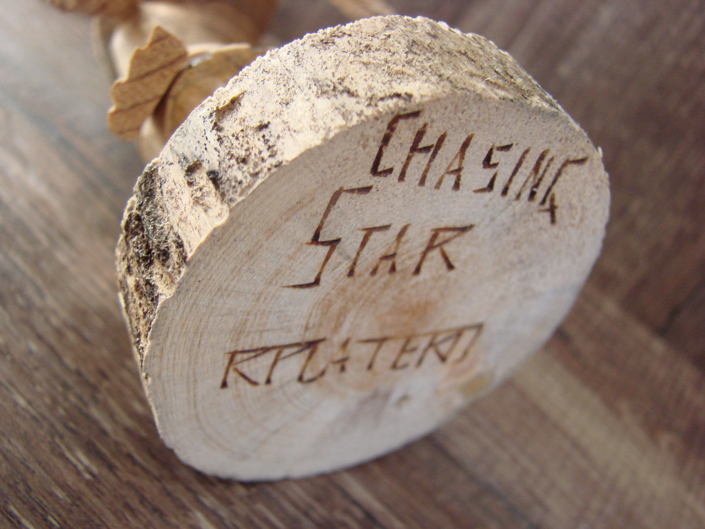 Native American Chasing Star Kachina Dancer by Platero