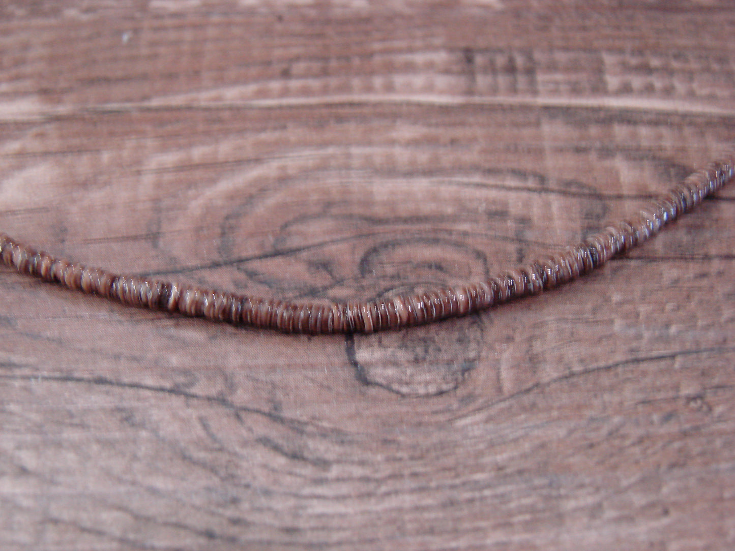 Native American 18" Shell Heishi Necklace by Ramona Bird