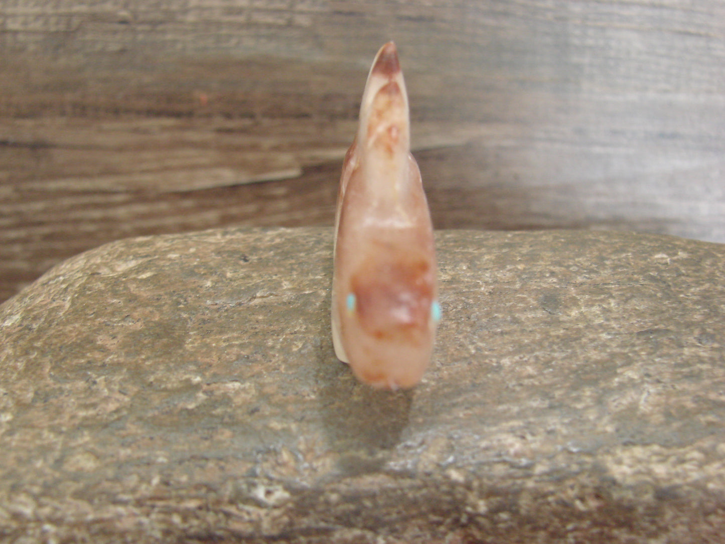 Native American Zuni Indian Hand Carved Alabaster Lizard Fetish - B. Phillips
