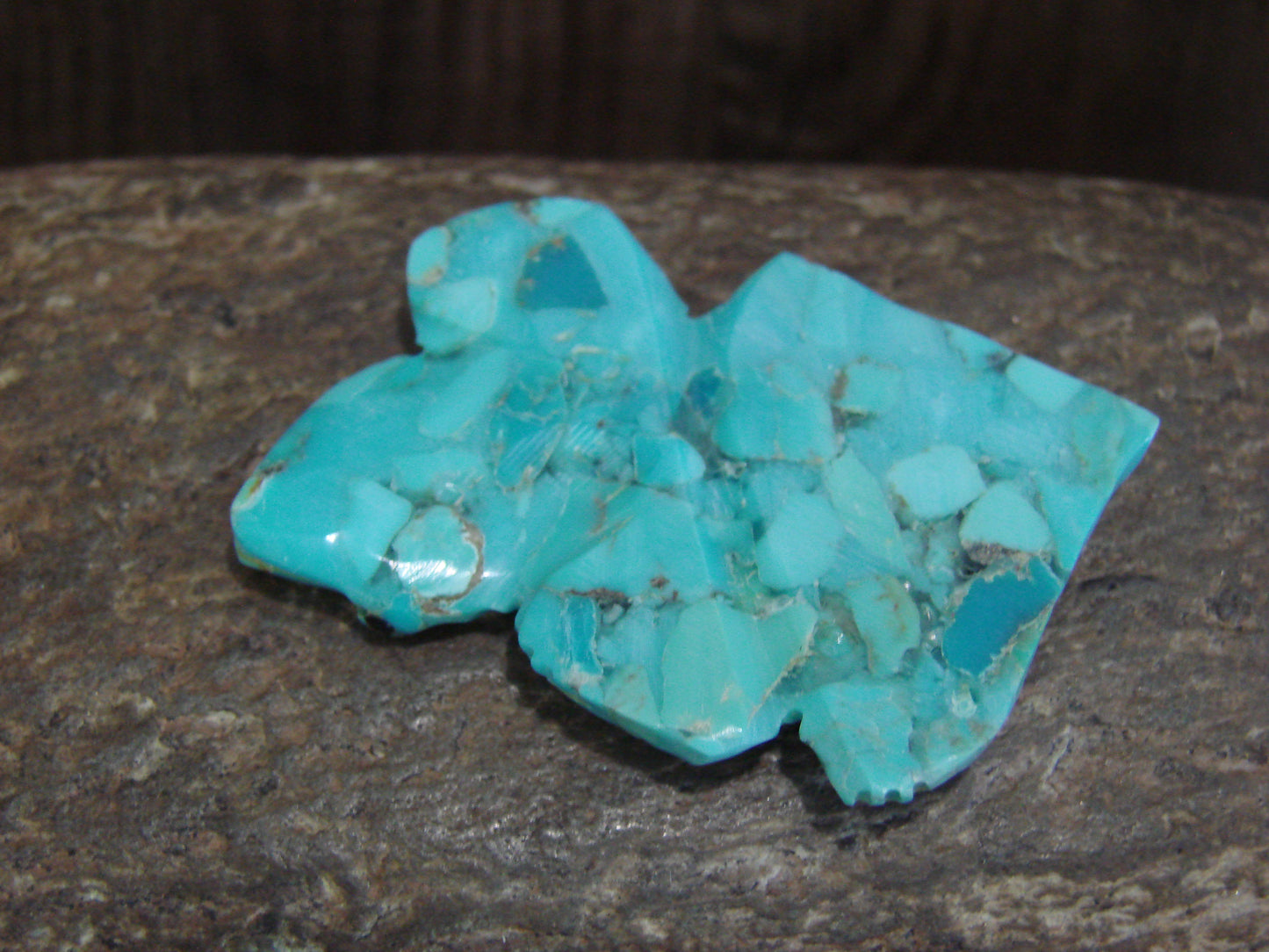 Native American Zuni Hand Carved Turquoise Horned Lizard Fetish- Latte
