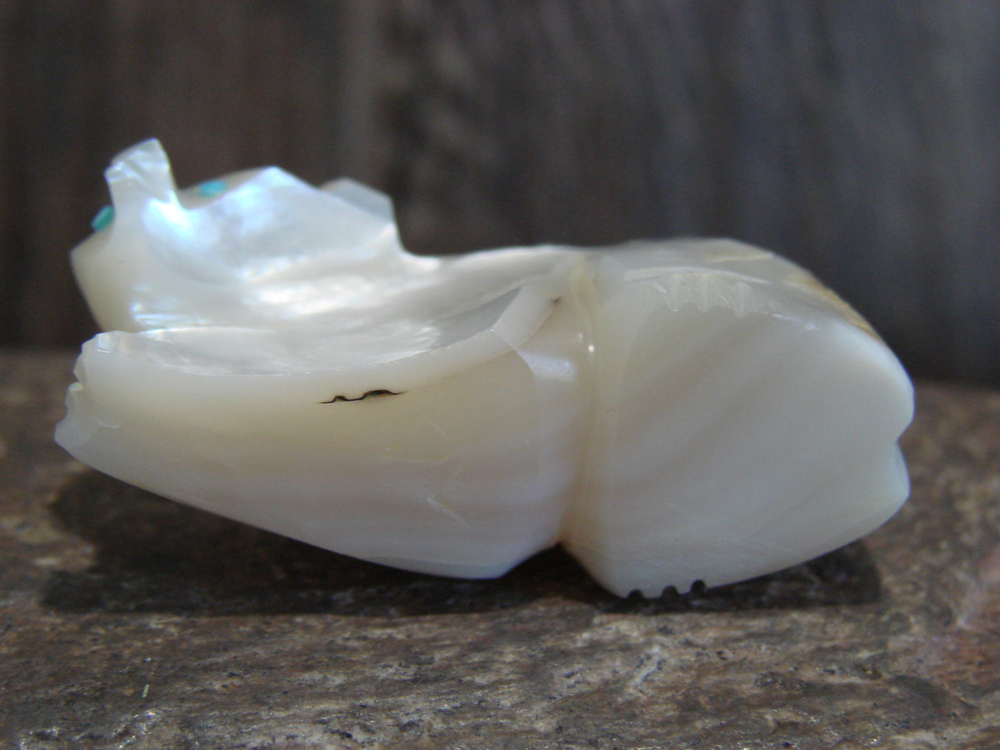 Native American Zuni Indian Hand Carved Mother of Pearl Bear Fetish- Latte