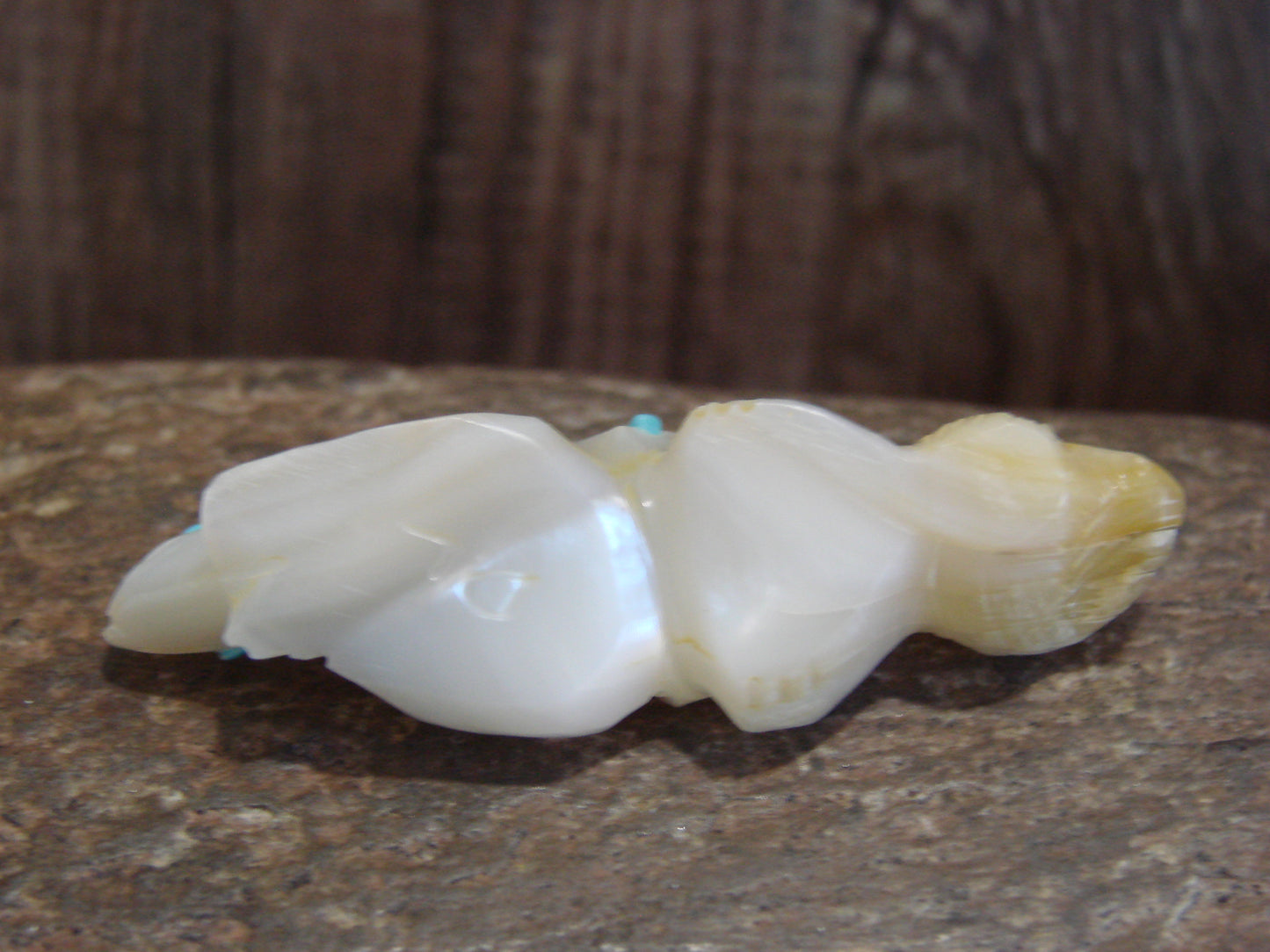 Native American Zuni Indian Hand Carved Mother of Pearl Squirrel Fetish- Latte