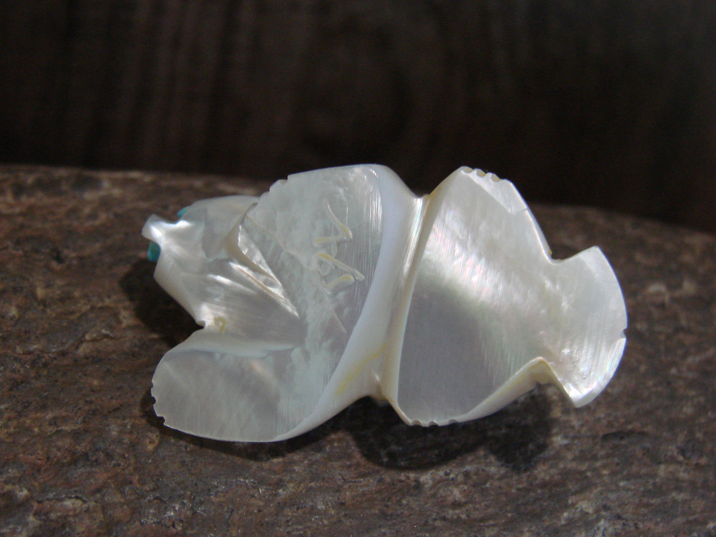 Native American Zuni Indian Hand Carved Mother of Pearl Badger Fetish- Latte