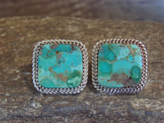 Native American Sterling Silver & Turquoise Post Earrings - Larry