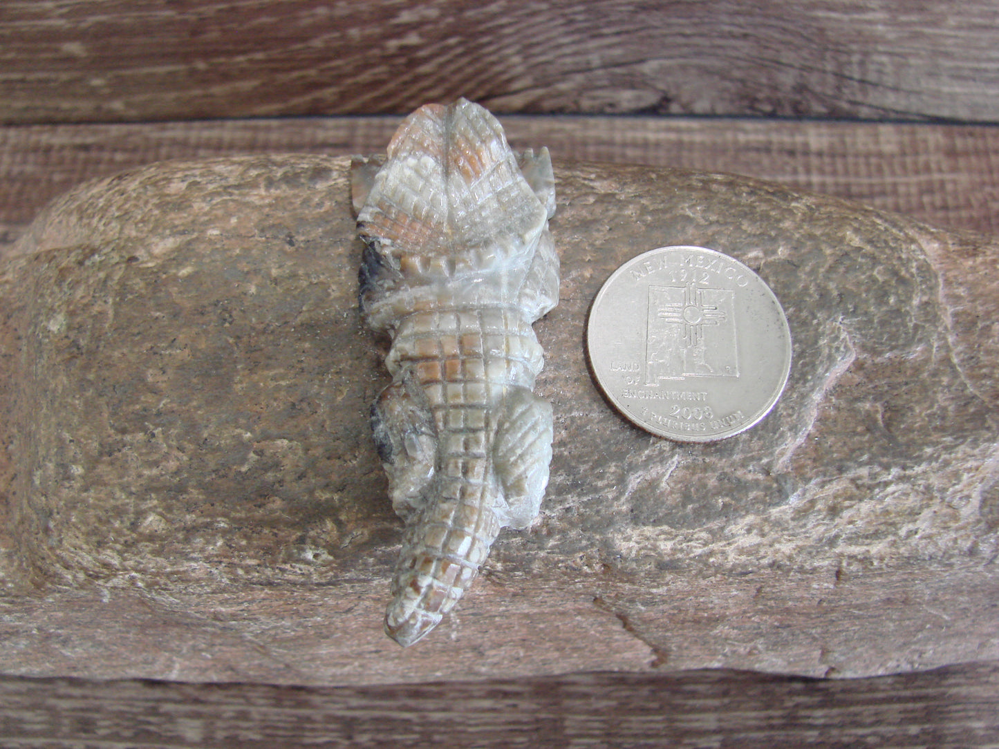 Native American Zuni Indian Picasso Marble Horned Lizard Fetish by Mackel