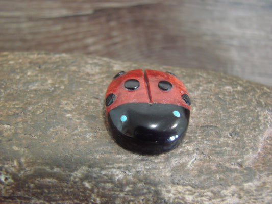 Native American Zuni Hand Carved Coral Ladybug Fetish by Lonasee