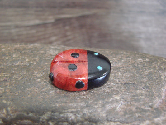 Native American Zuni Hand Carved Coral Ladybug Fetish by Lonasee