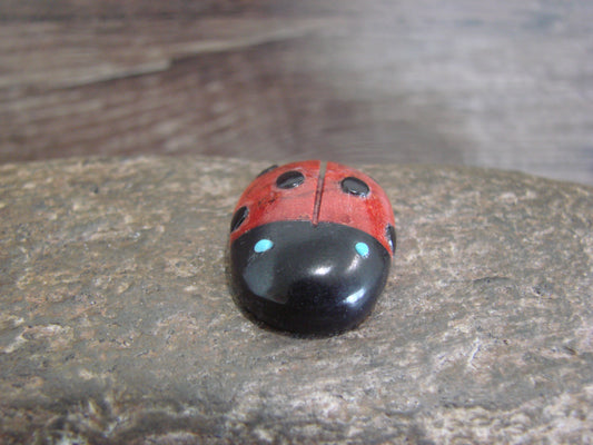 Native American Zuni Hand Carved Coral Ladybug Fetish by Lonasee