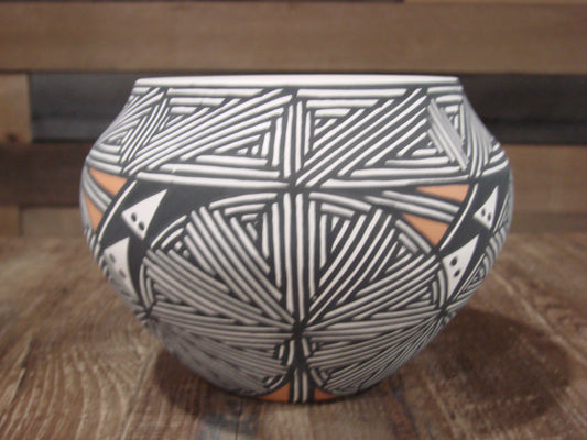 Native American Fine Line Laguna Hand Painted Pottery by DW