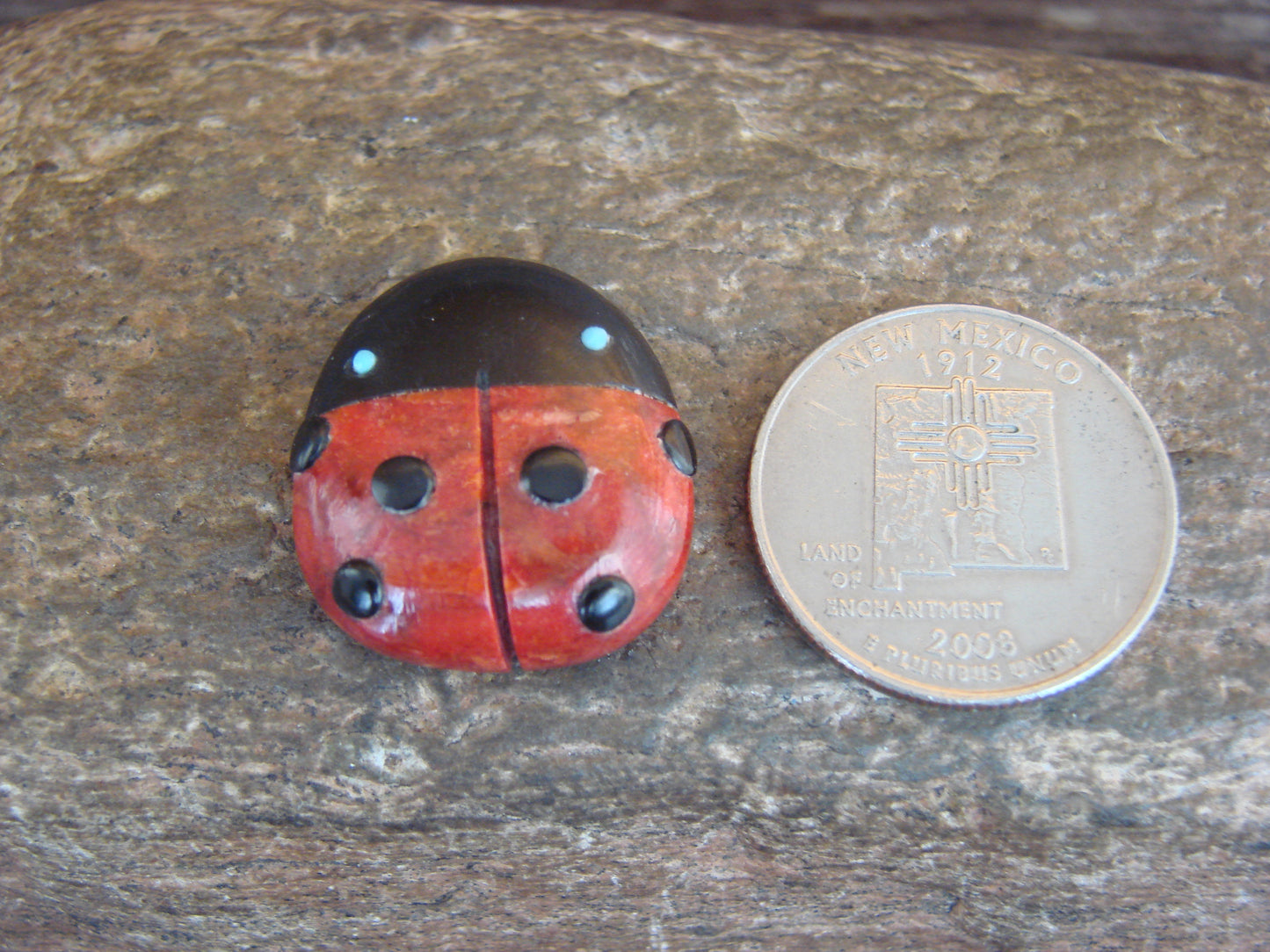 Native American Zuni Hand Carved Coral Ladybug Fetish by Lonasee