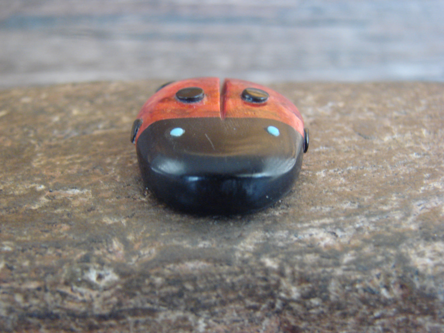 Native American Zuni Hand Carved Coral Ladybug Fetish by Lonasee