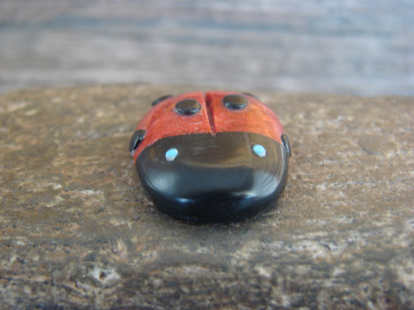 Native American Zuni Hand Carved Coral Ladybug Fetish by Lonasee
