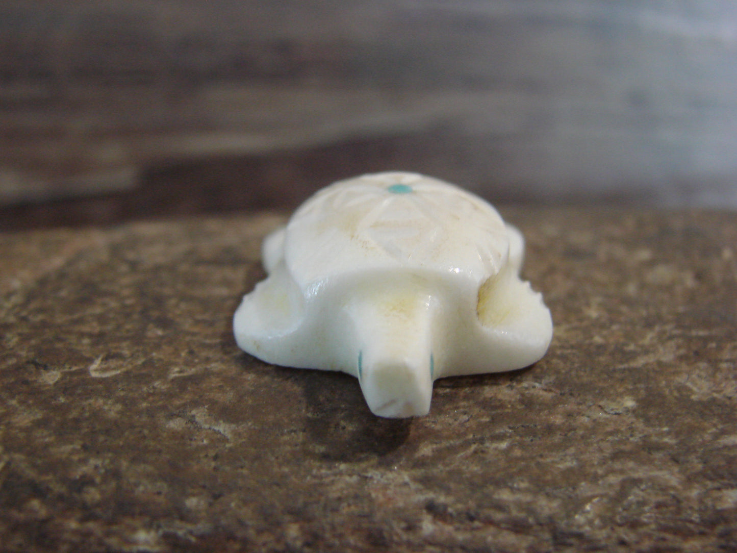 Native American Indian Hand Carved Alabaster Turtle Fetish - B. Phillips