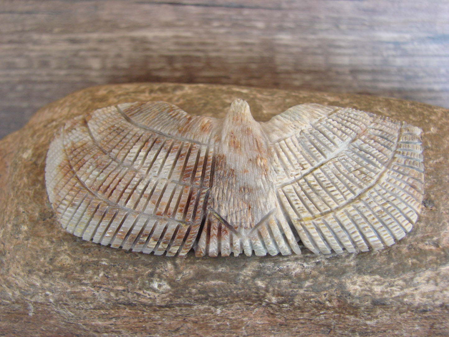 Native American Zuni Hand Carved Eagle Fetish - Lowsayatee