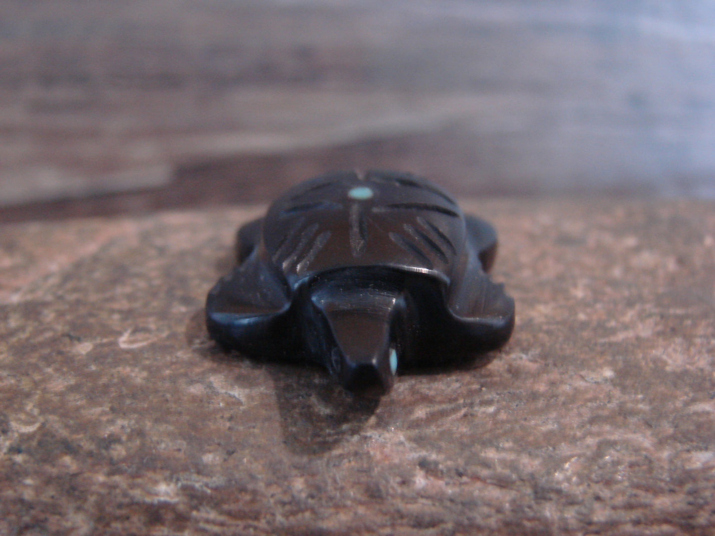 Native American Indian Hand Carved Jet Turtle Fetish - B. Phillips