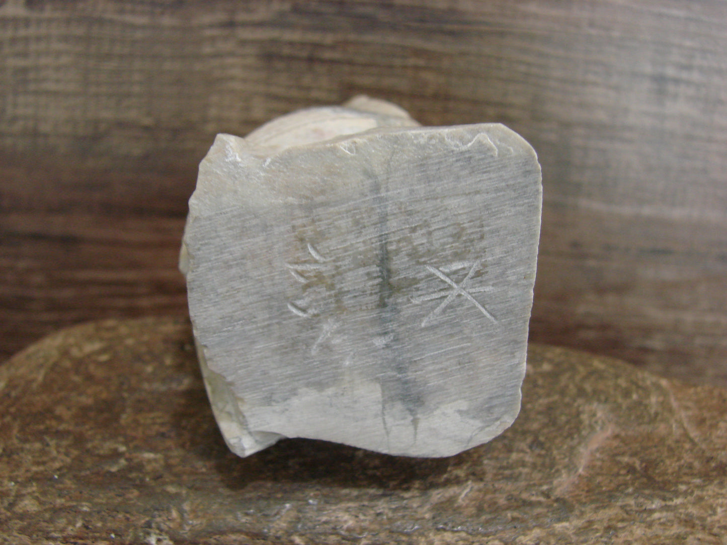 Native American Zuni Indian Hand Carved Owl Marble Fetish- Kaamasee