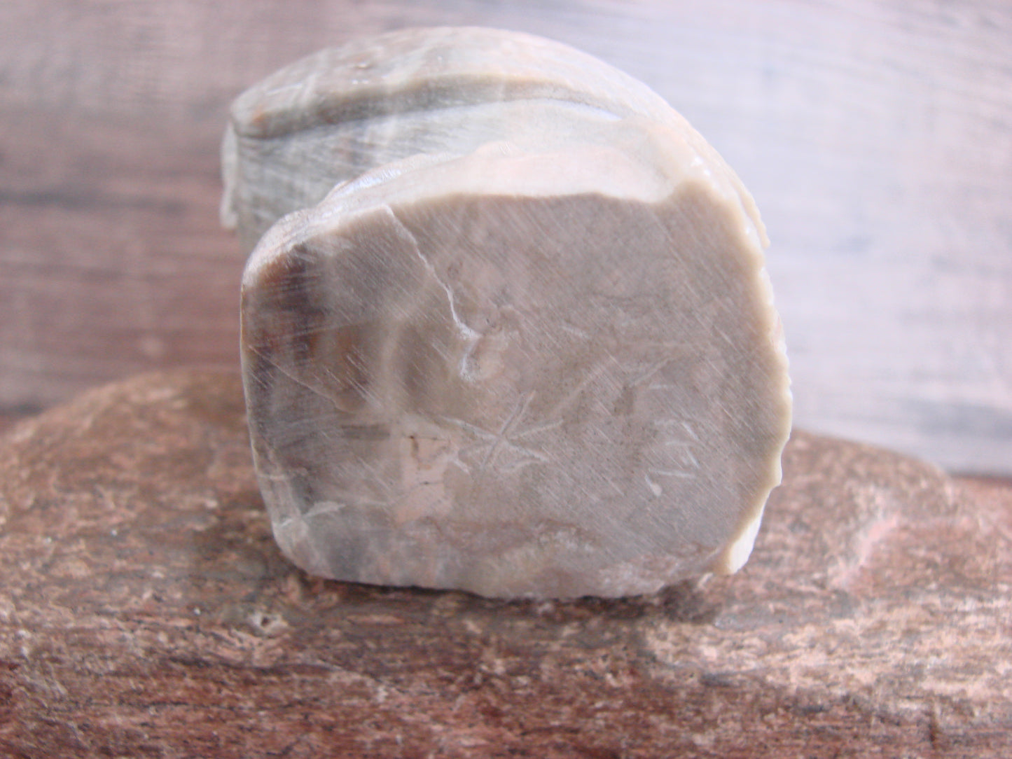 Native American Zuni Indian Hand Carved Owl Marble Fetish- Kaamasee