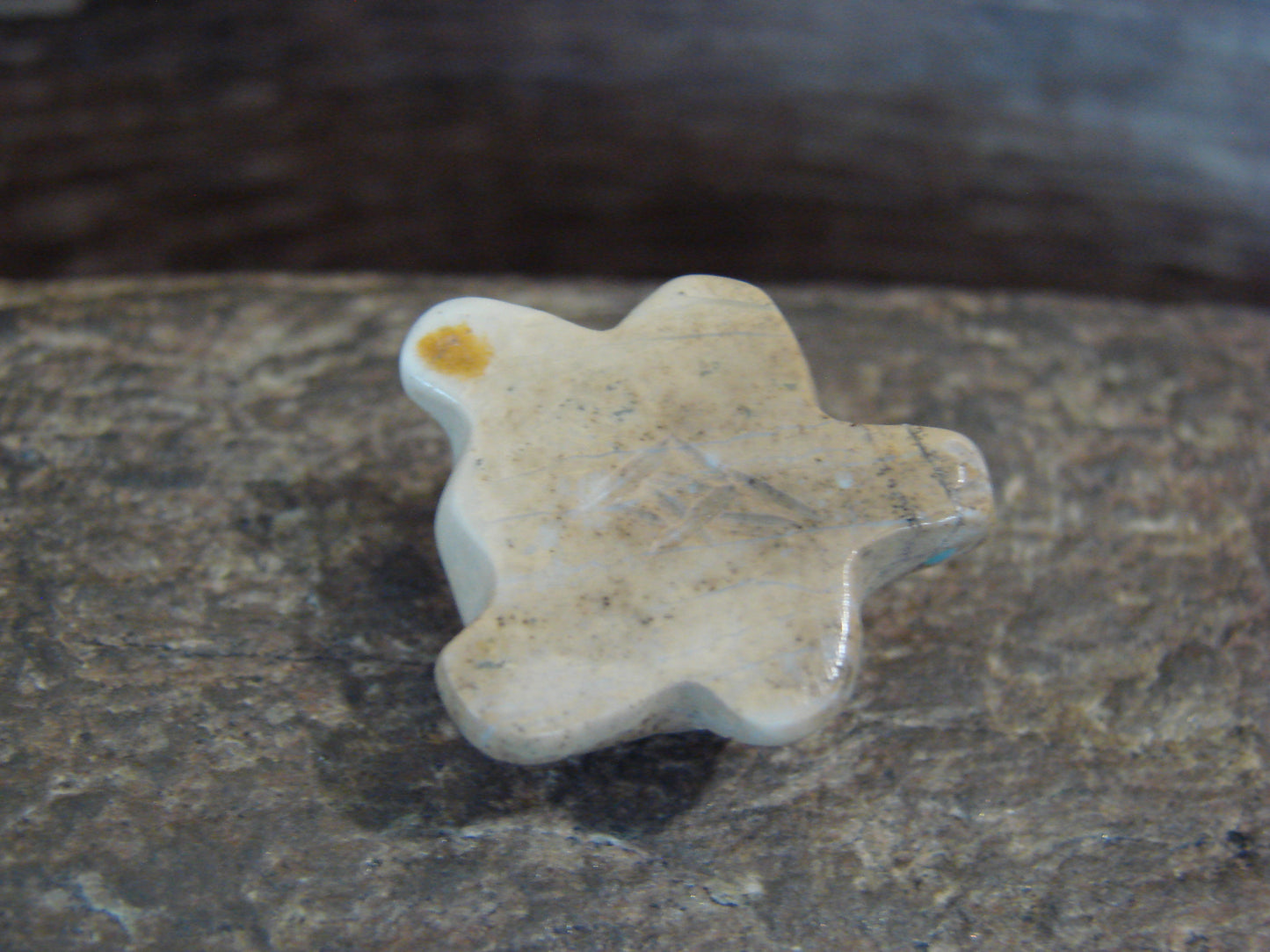 Native American Indian Hand Carved Picasso Marble Turtle Fetish - B. Phillips