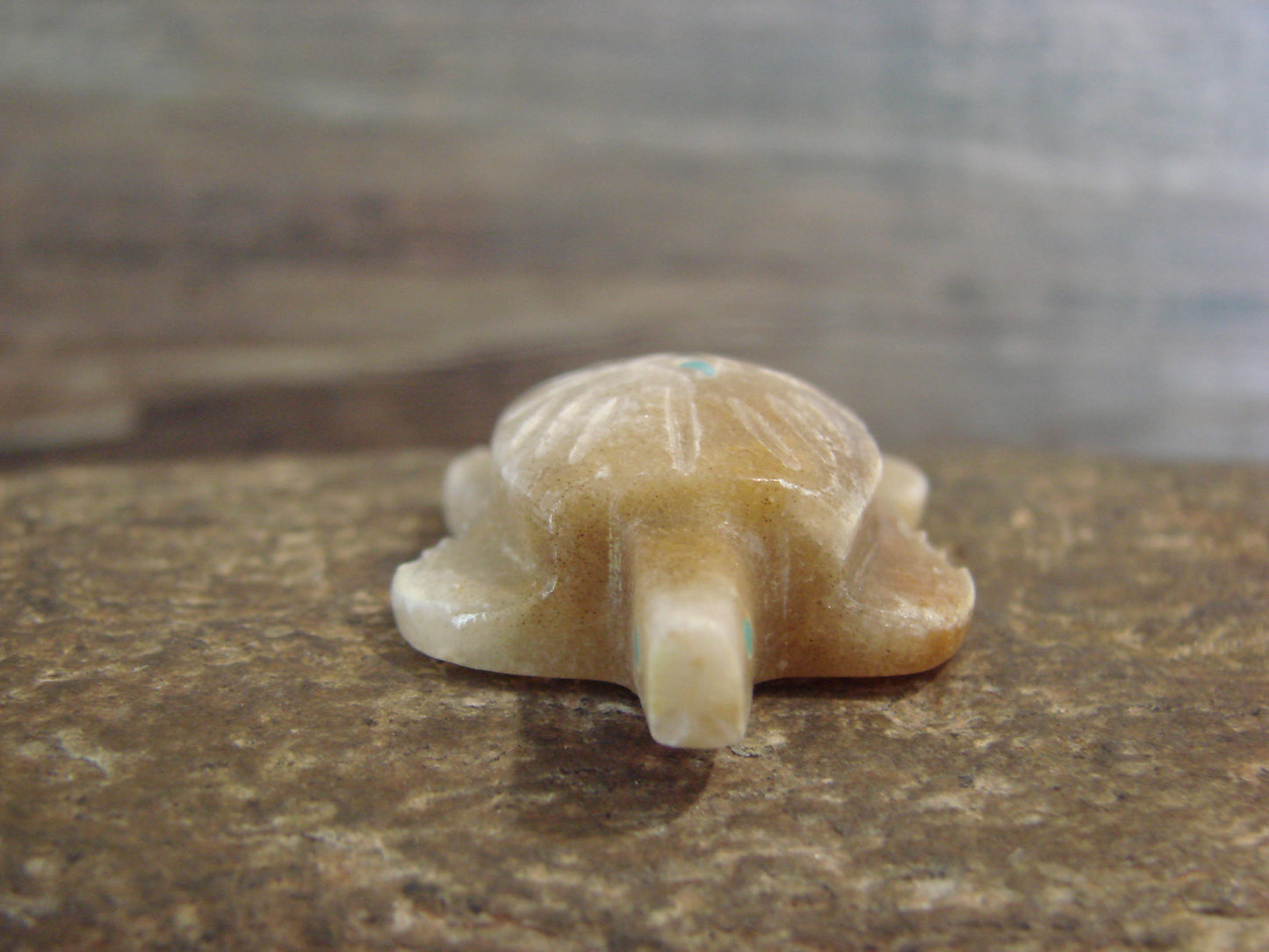 Native American Indian Hand Carved Alabaster Turtle Fetish - B. Phillips