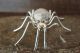 Navajo  Sterling Silver White Howlite Spider Pin Pendant by Spencer!